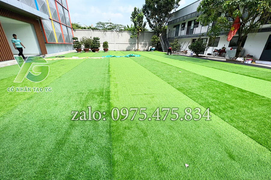 Thảm cỏ trải tại trường cực sang