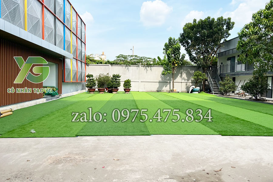 Thảm cỏ trải tại trường cực sang