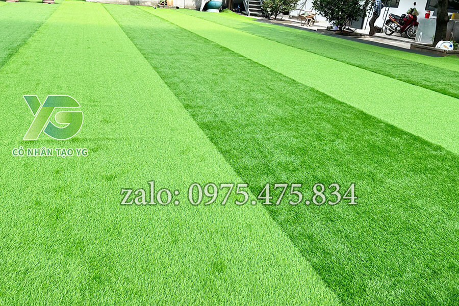 Thảm cỏ trải tại trường bền đẹp