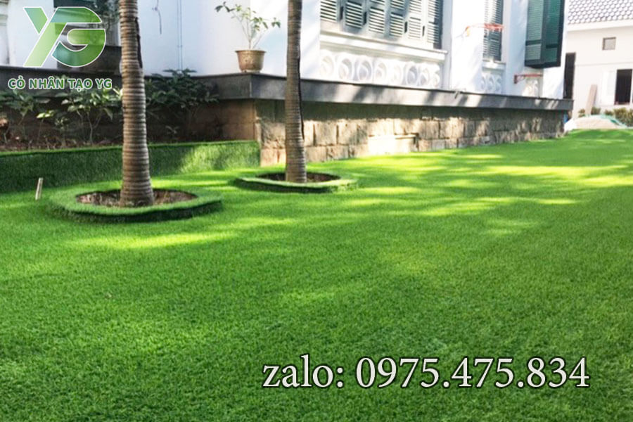 Cỏ nhân tạo sân vườn 3cm tốt