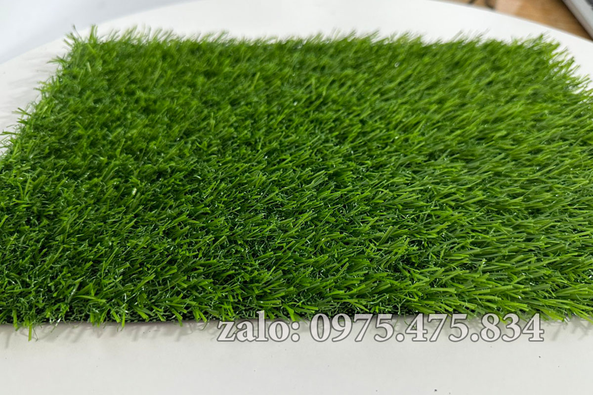 Cỏ nhân tạo 2cm tốt