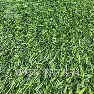 Cỏ nhân tạo 2cm tốt