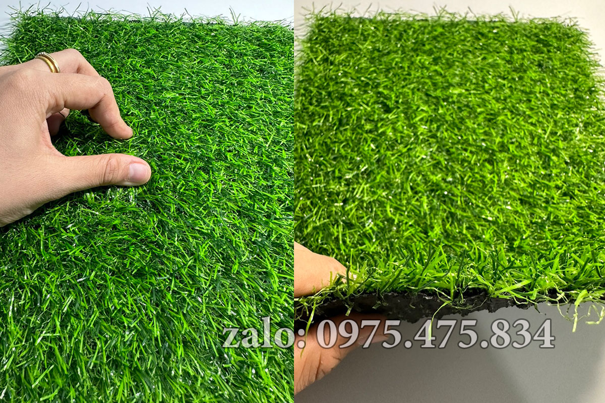 Cỏ nhân tạo 2cm tốt