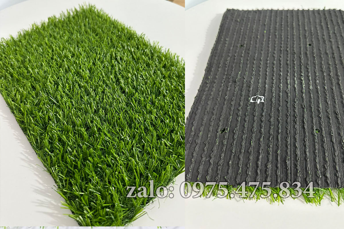 Cỏ nhân tạo 2cm tốt