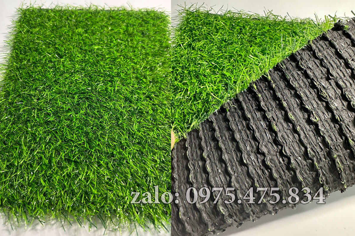 Cỏ nhân tạo 2cm tốt