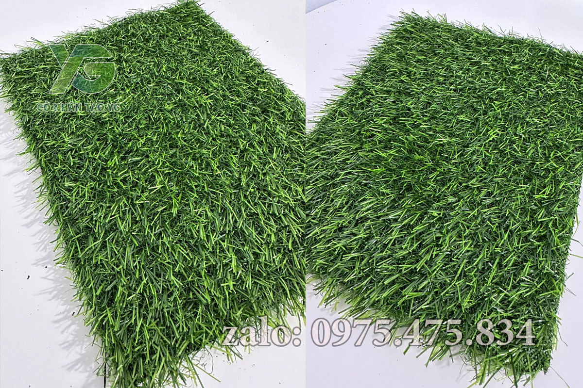 Cỏ nhân tạo 2cm tốt