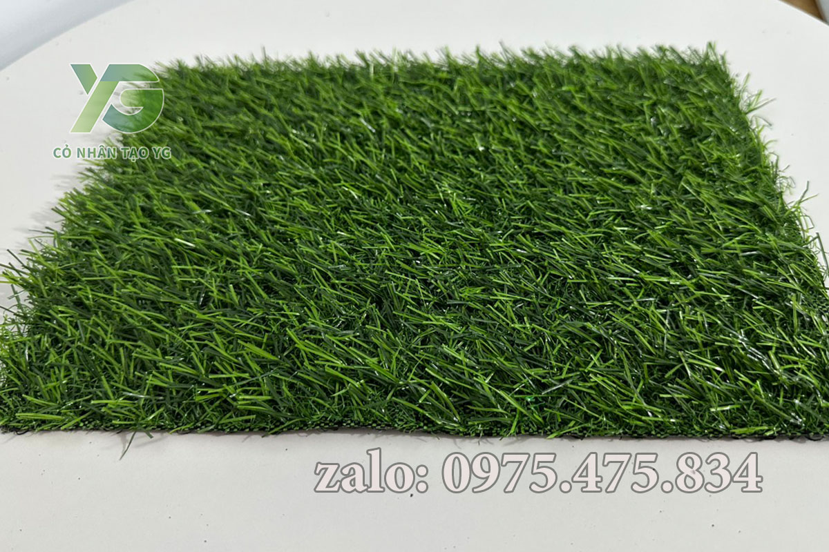 Cỏ nhân tạo 2cm tốt