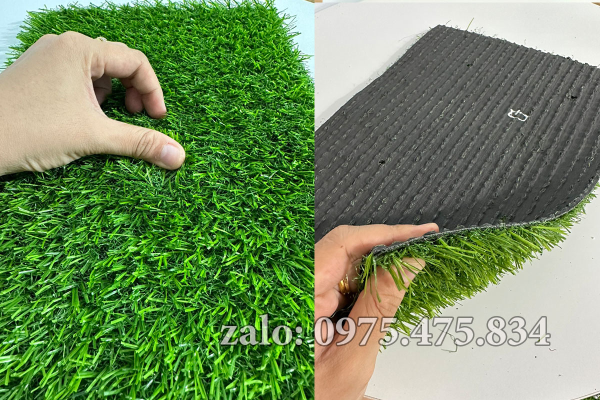 Cỏ nhân tạo 2cm tốt