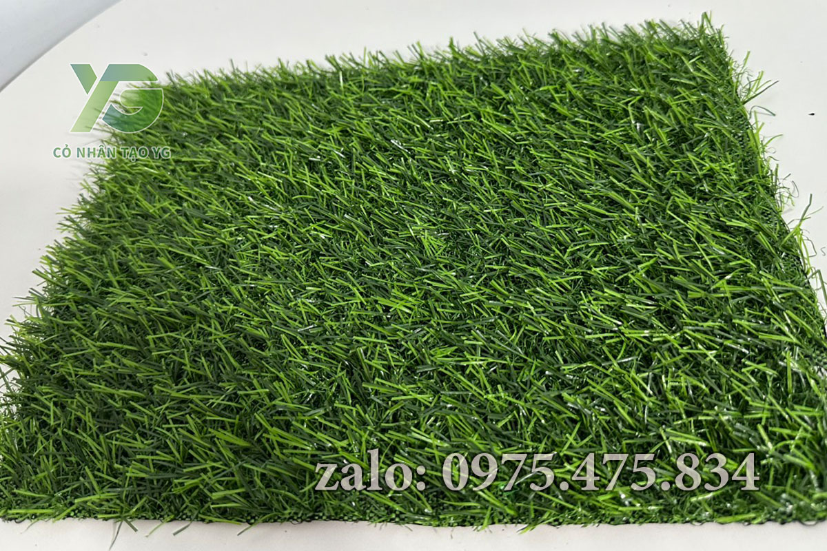 Cỏ nhân tạo 2cm tốt