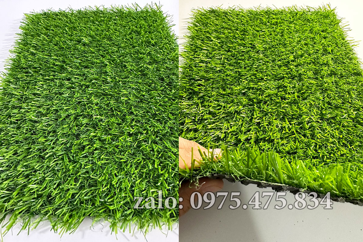 Cỏ nhân tạo 2cm tốt