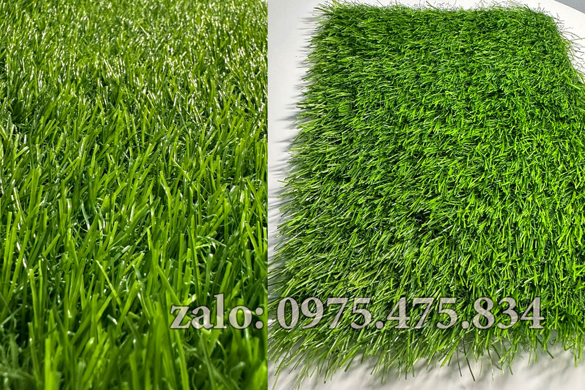 Cỏ nhân tạo 3cm