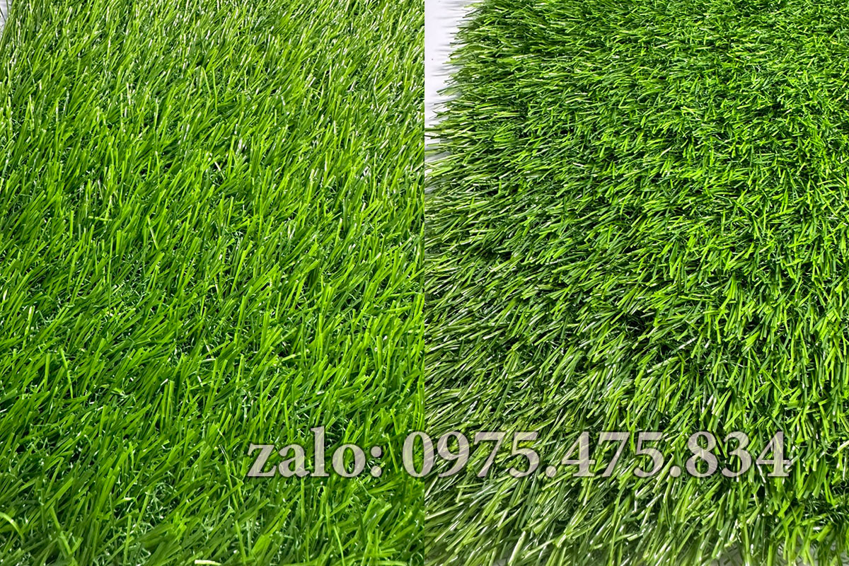 Cỏ nhân tạo 3cm