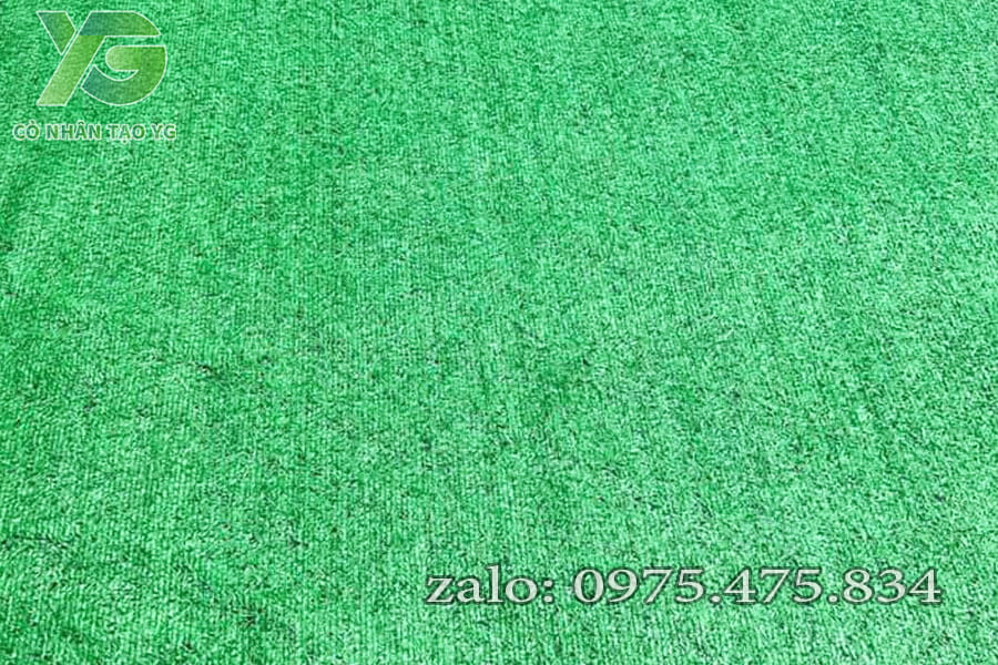 Cỏ nhân tạo giá rẻ 