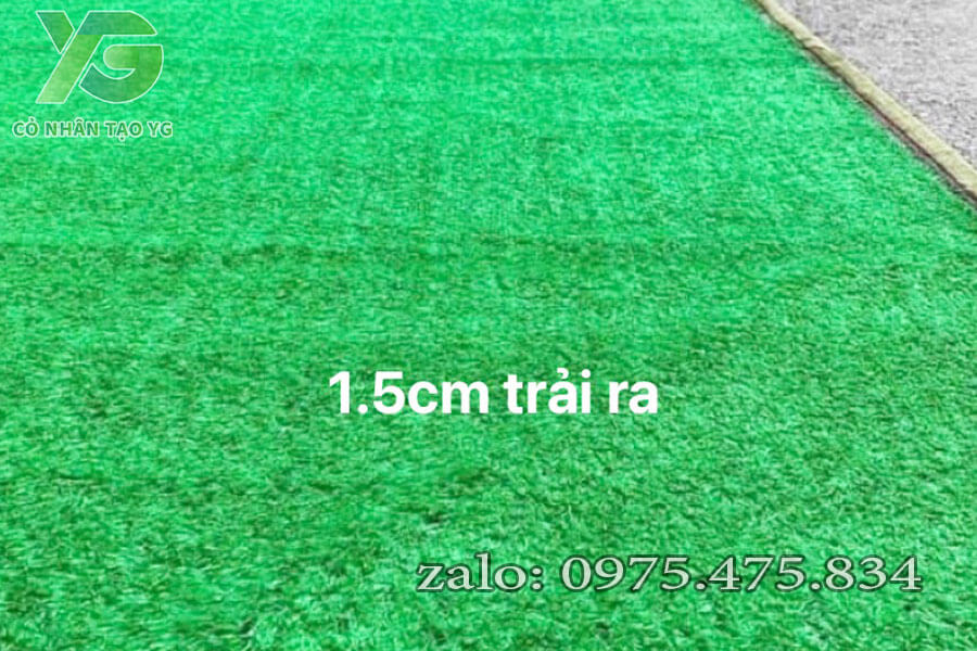 Cỏ nhân tạo giá rẻ 