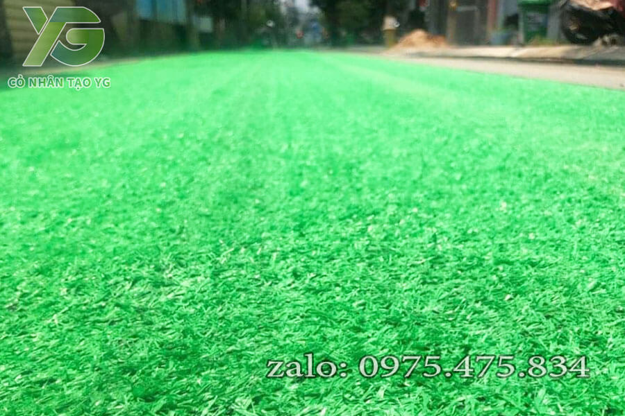 Cỏ nhân tạo giá rẻ 