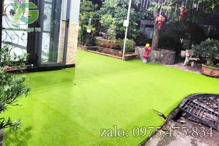 Cỏ Golf trải sân vườn tại Bình Dương