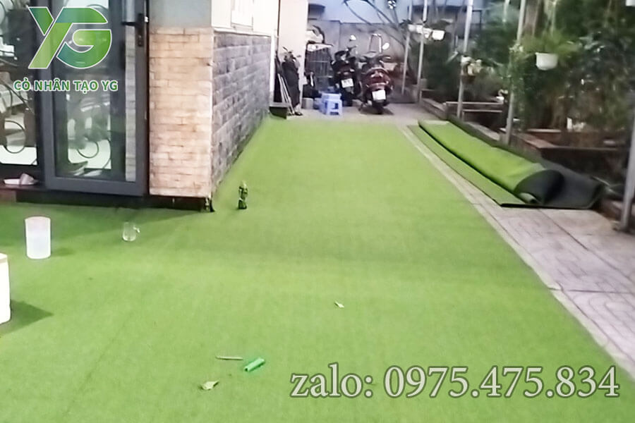Cỏ Golf trải sân vườn tại Bình Dương