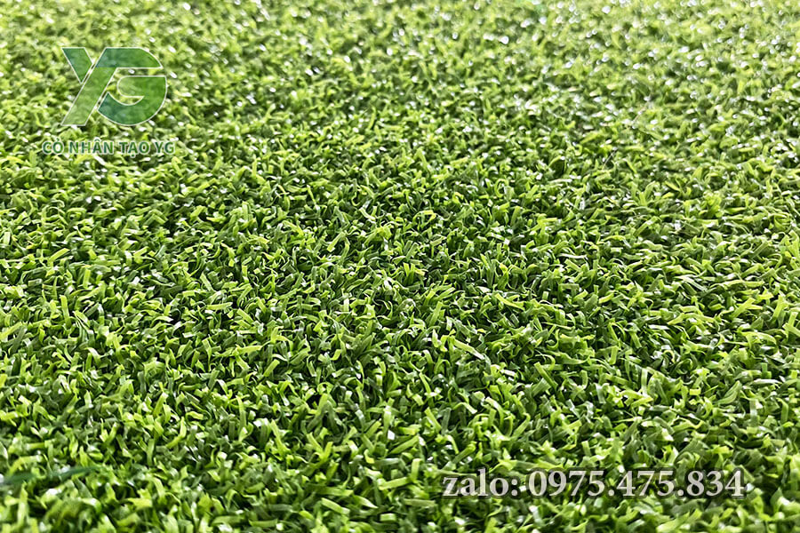 Mẫu Cỏ nhân tạo sân Golf