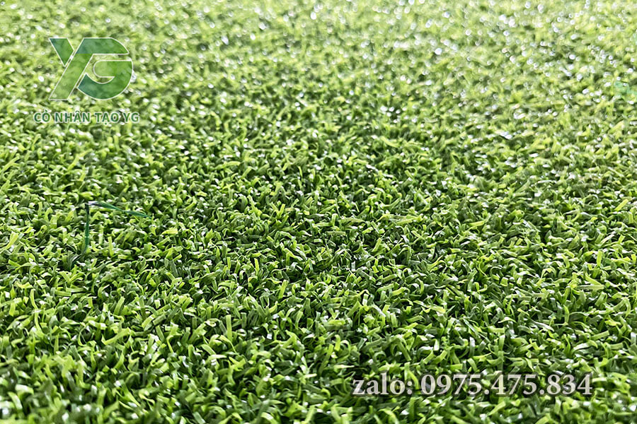 Mẫu Cỏ nhân tạo sân Golf