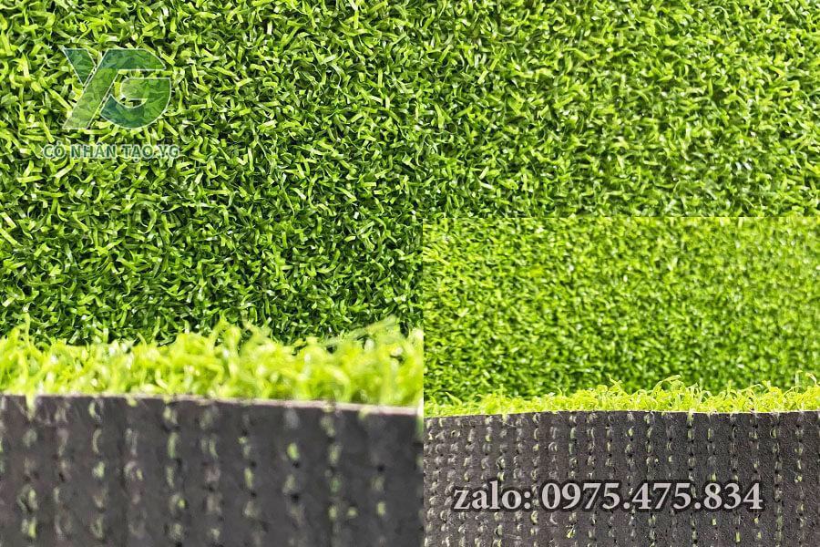 Mẫu Cỏ nhân tạo sân Golf