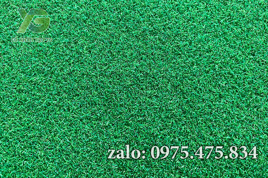 Mẫu cỏ nhân tạo sân Golf