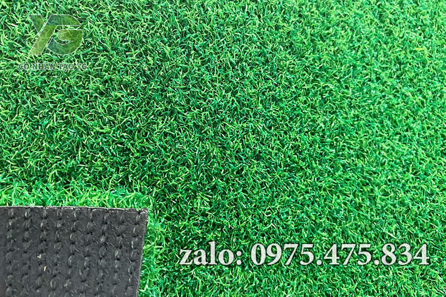 Mẫu cỏ nhân tạo sân Golf