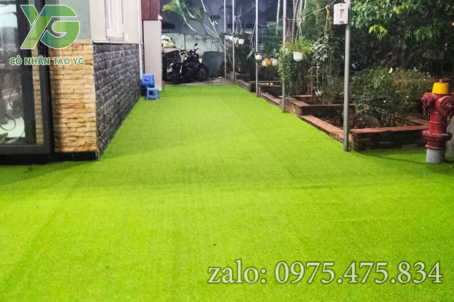 Cỏ Golf trải sân vườn tại Bình Dương