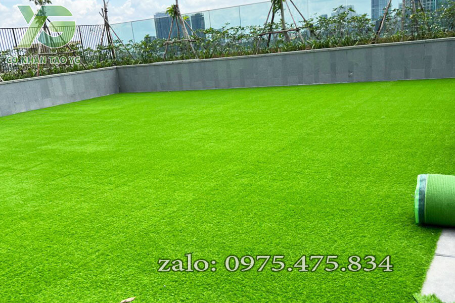 Cỏ nhân tạo sân vườn 3cm thường