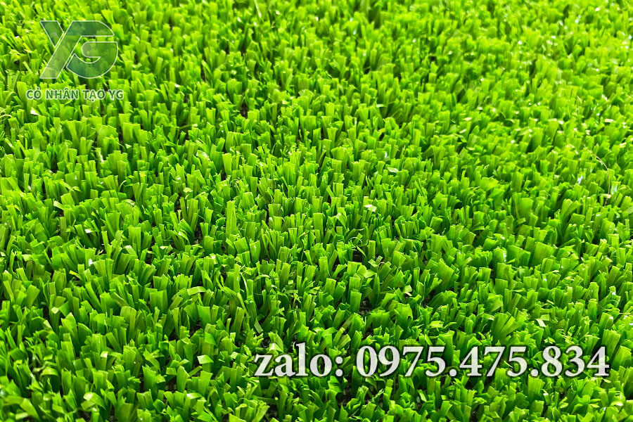 Mẫu cỏ nhân tạo sân Golf