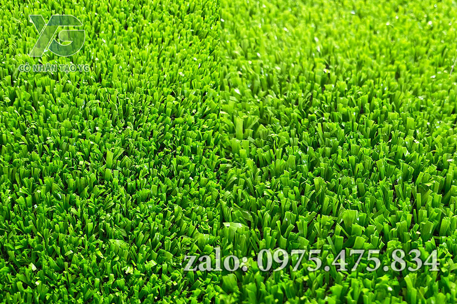 Mẫu cỏ nhân tạo sân Golf