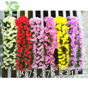 Hoa Đỗ Quyên DQ001