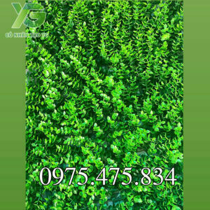 Tai Chuột Trang Trí TC001