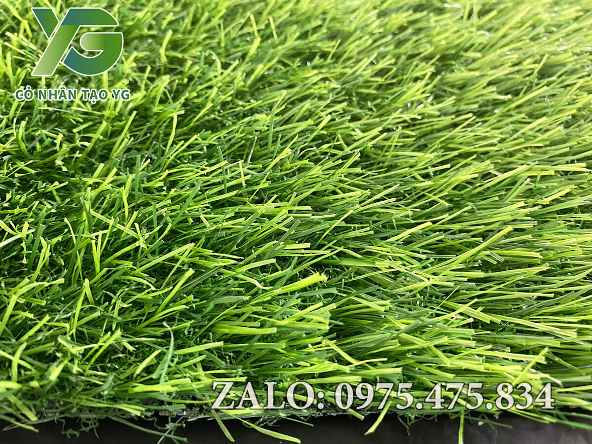 Thảm cỏ nhân tạo