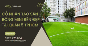 Cỏ nhân tạo sân bóng mini bền đẹp tại Quận 5 TPHCM