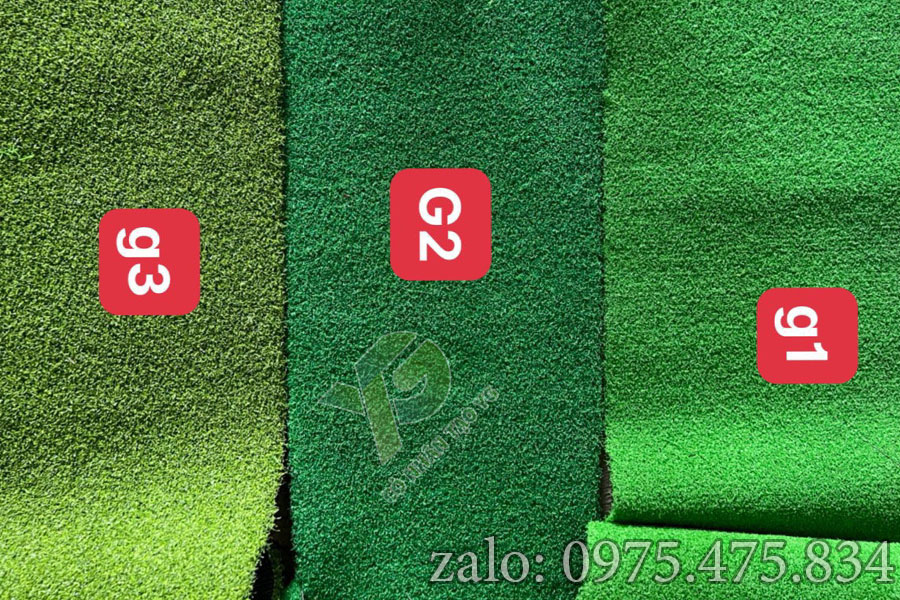Mẫu cỏ Golf