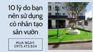 10 lý do bạn nên sử dụng cỏ nhân tạo sân vườn