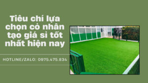 Tiêu chí lựa chọn cỏ nhân tạo giá sỉ tốt nhất hiện nay
