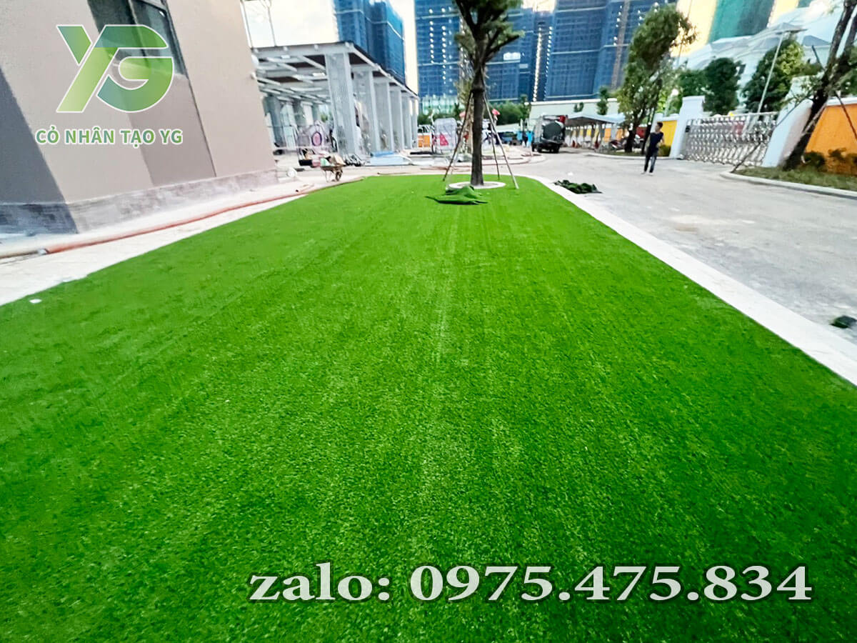 Thảm cỏ nhân tạo giá rẻ