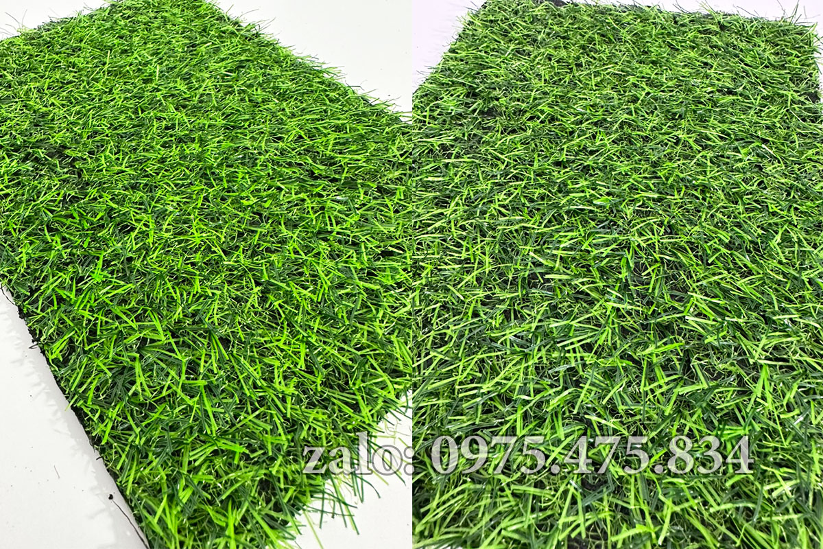Cỏ nhân tạo 2cm