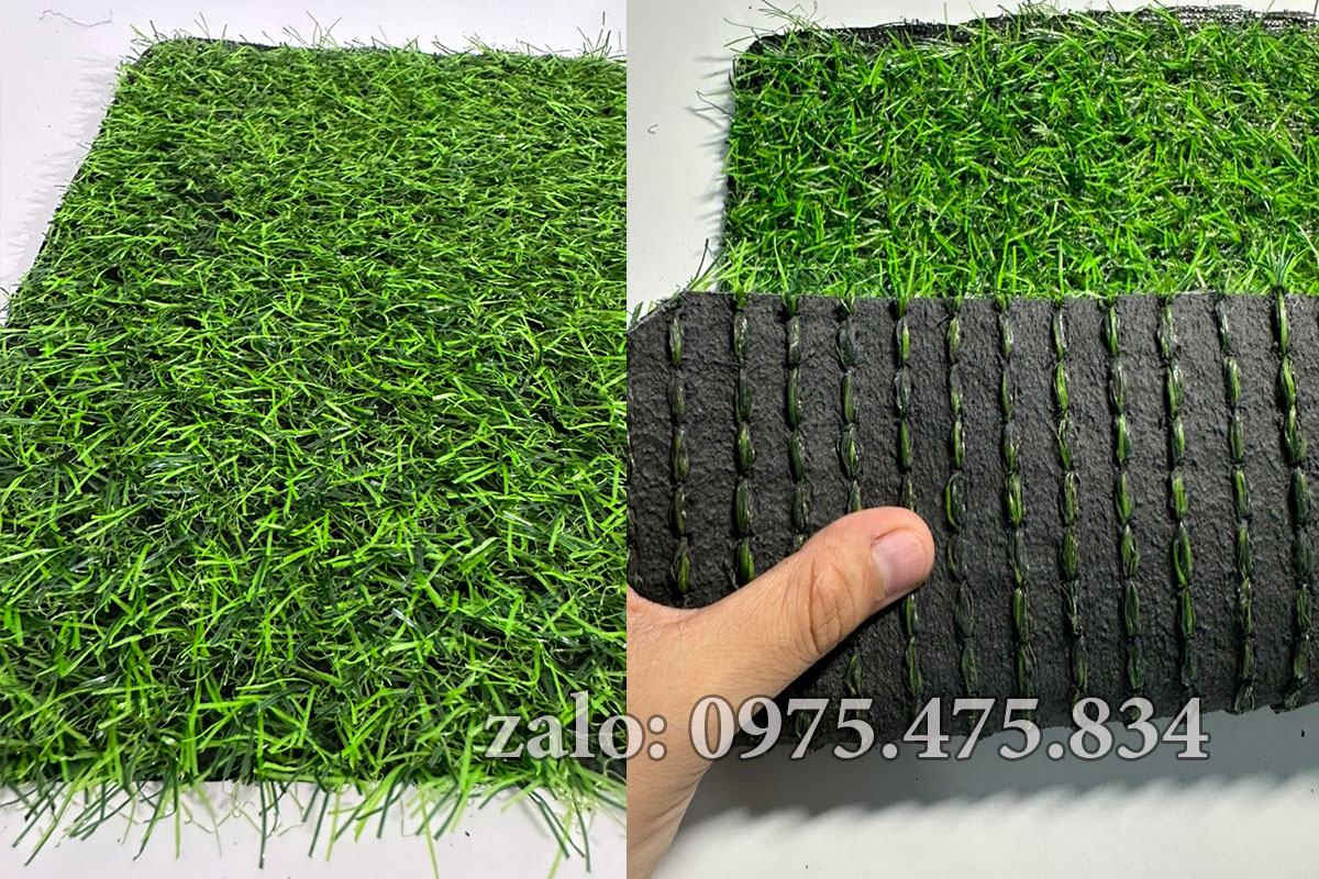 Cỏ nhân tạo 2cm