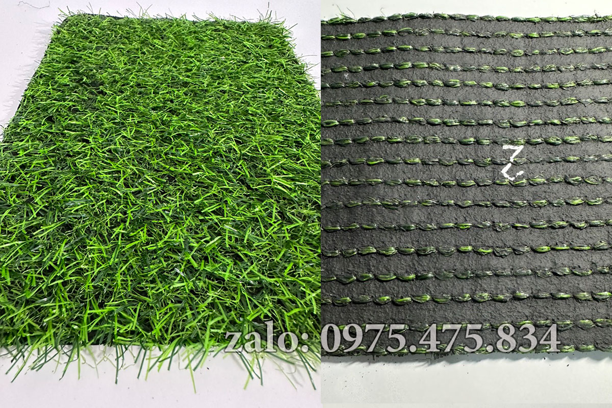 Cỏ nhân tạo 2cm