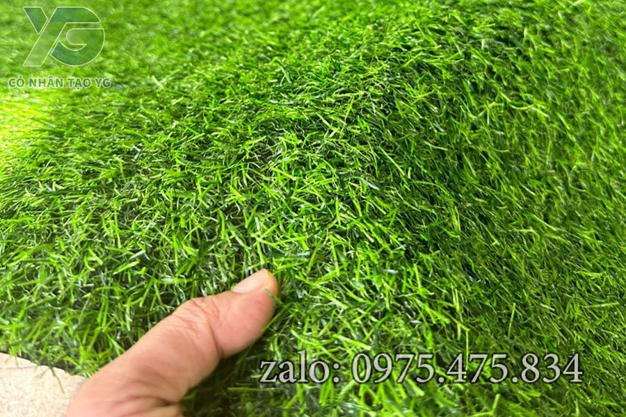 Cỏ nhân tạo sân vườn 2cm