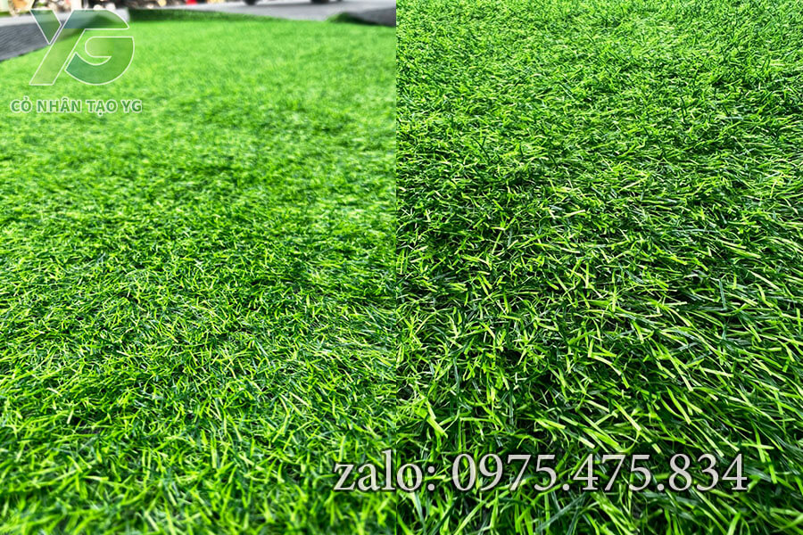 Cỏ nhân tạo sân vườn 3cm tốt