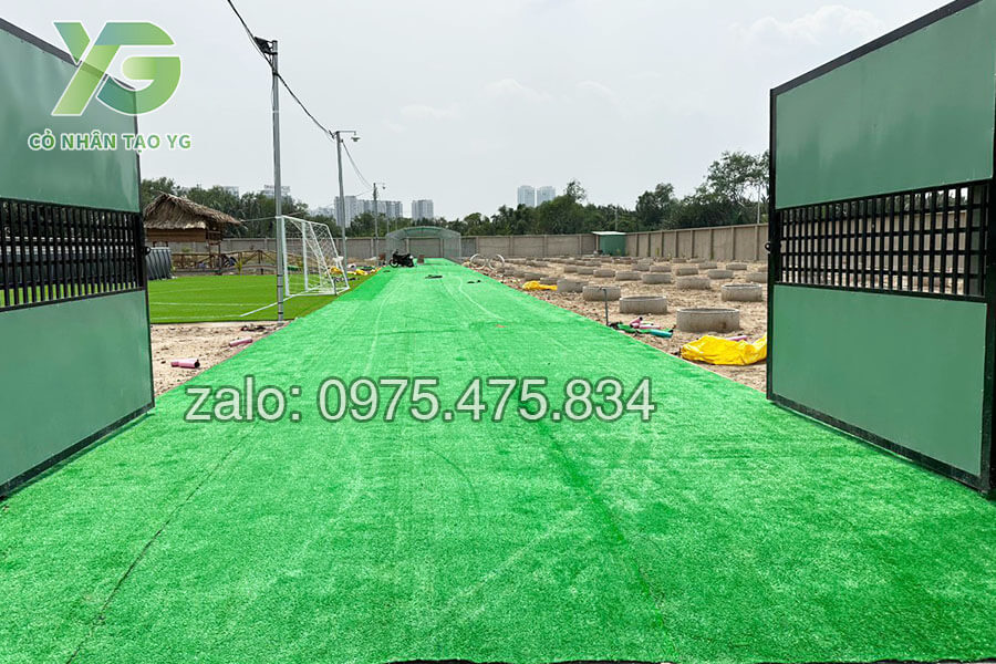 Cỏ nhân tạo giá rẻ trải lối đi