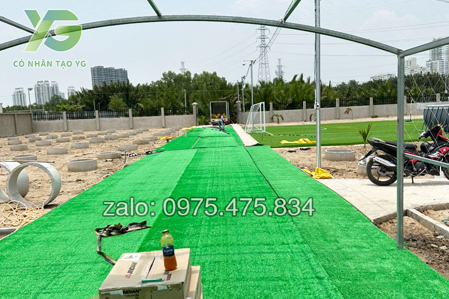 Cỏ nhân tạo giá rẻ trải lối đi