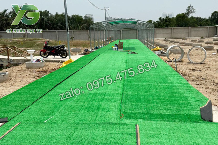 Cỏ nhân tạo giá rẻ trải lối đi