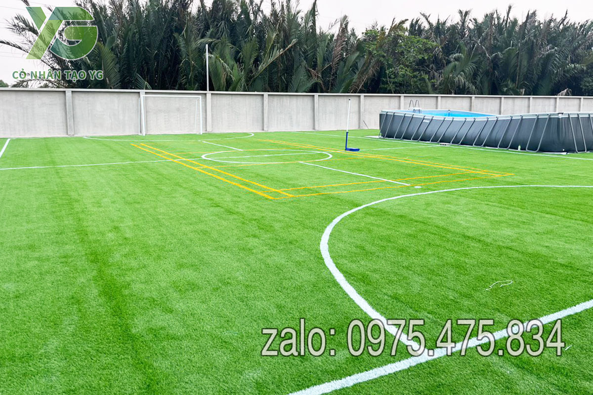 Cỏ nhân tạo sân bóng mini