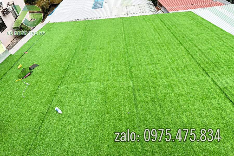 Thảm cỏ nhân tạo trải mái nhà