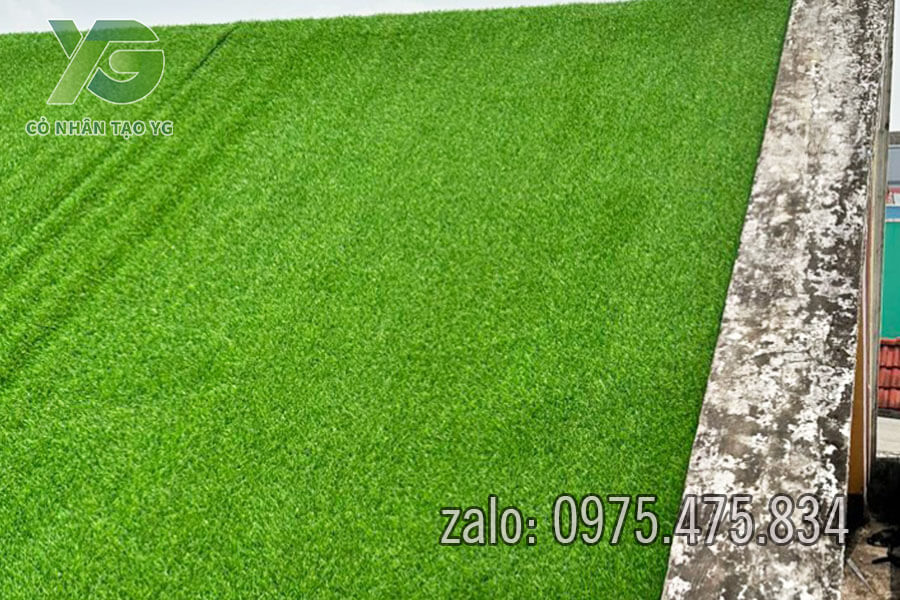 Cỏ nhân tạo trải mái nhà