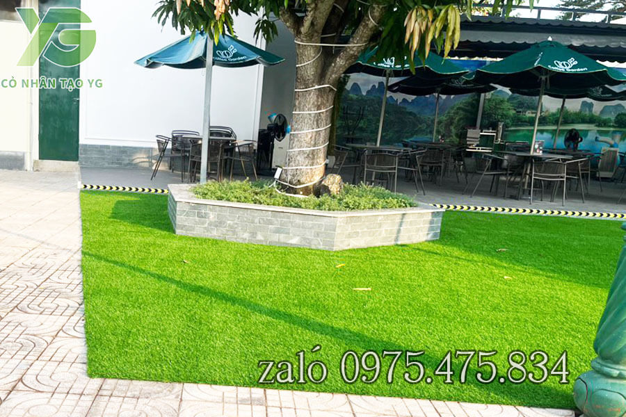 Thảm cỏ nhân tạo